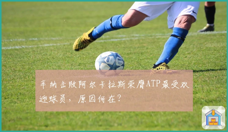 辛纳击败阿尔卡拉斯荣膺ATP最受欢迎球员，原因何在？